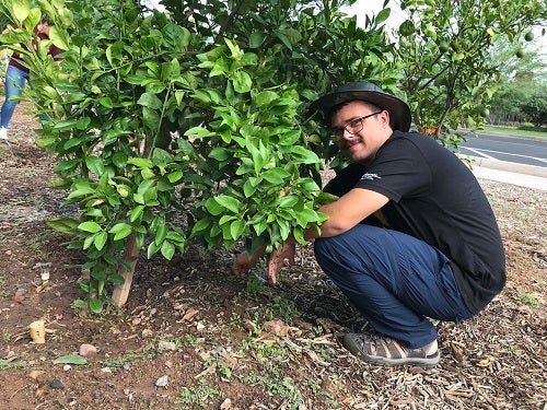 Zane Alexander works in the community garden at the ASU Polytechnic campus at Sparky’s Day of Service 2021